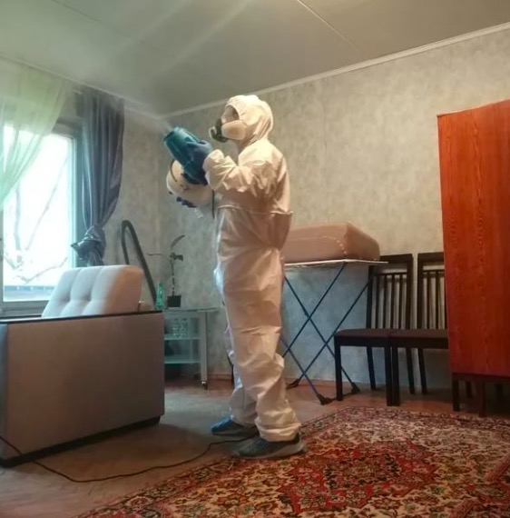 дезинсекция квартиры в Красном Селе